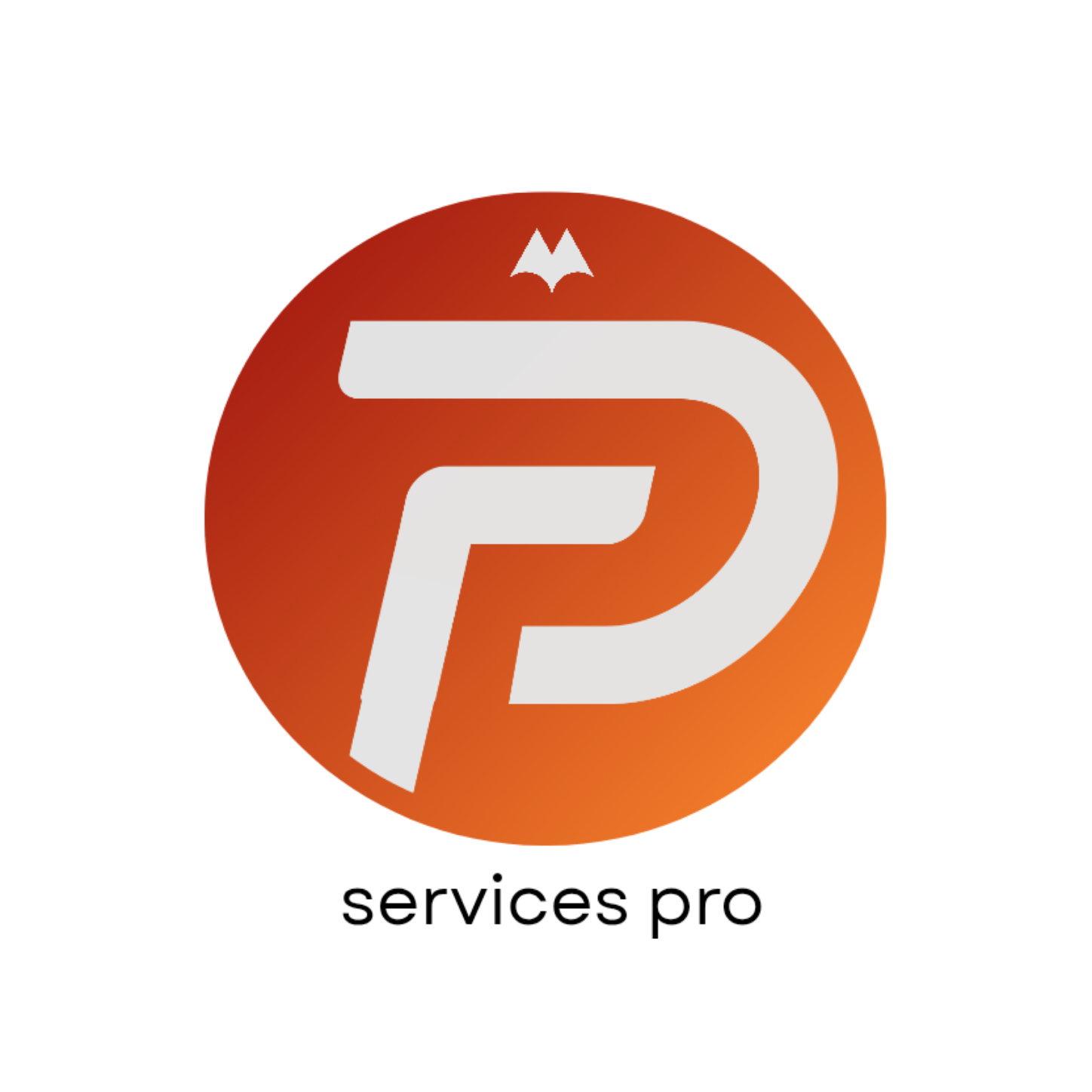 Logo de la boutique Services pro